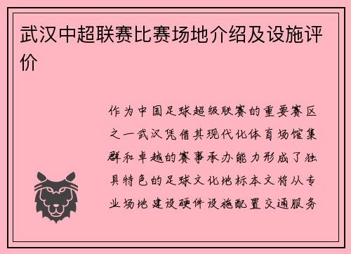 武汉中超联赛比赛场地介绍及设施评价